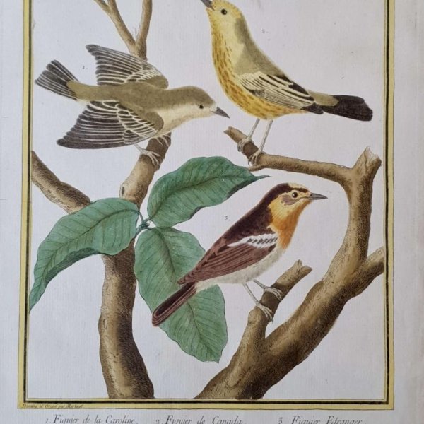 MARTINET, François Nicolas