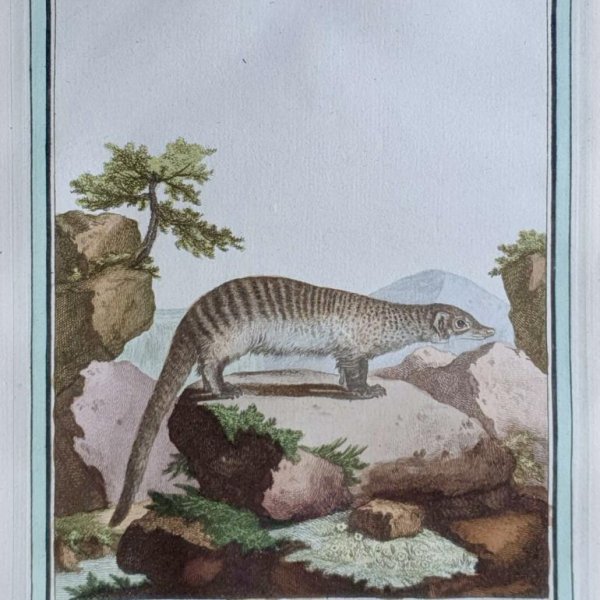 MARTINET, François Nicolas