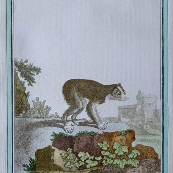 MARTINET, François Nicolas