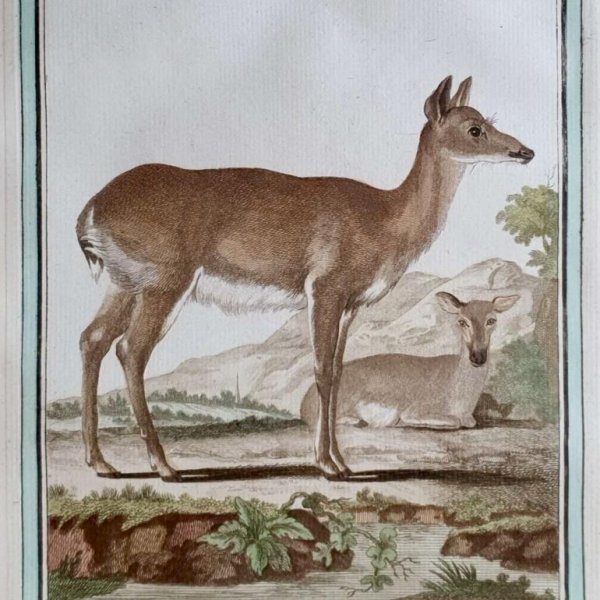 MARTINET, François Nicolas