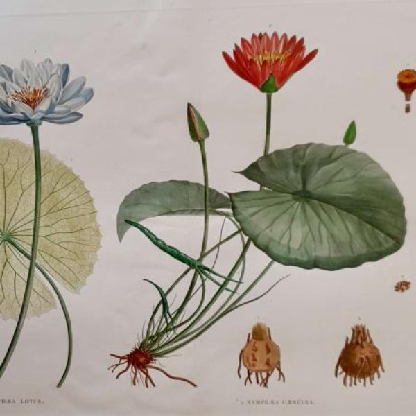 JOMARD Edme-François