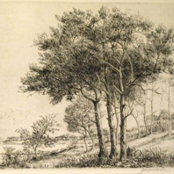 WEBSTER Herman Armour