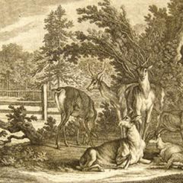 RIDINGER Johann Elias