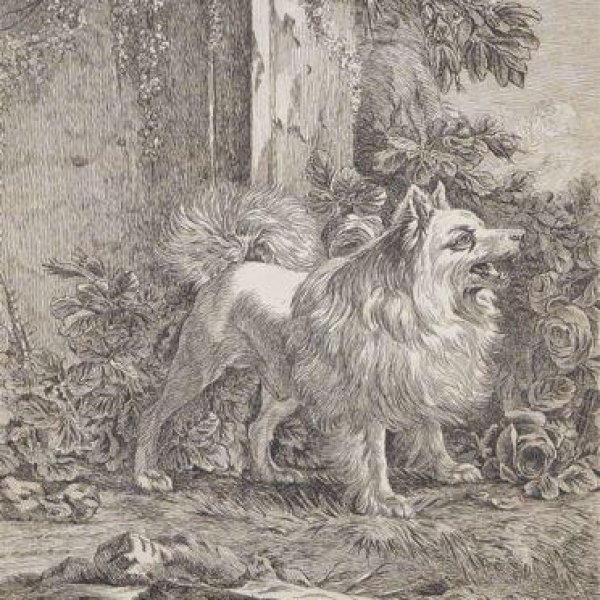 LALIVE DE JULLY, marquis de REMOVILLE (Ange Laurent de)