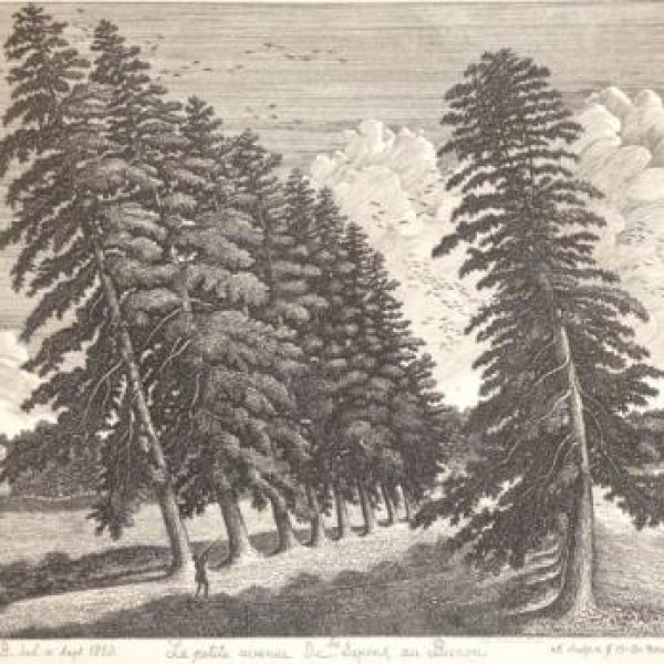 PHELIPPES-BEAULIEU Emmanuel