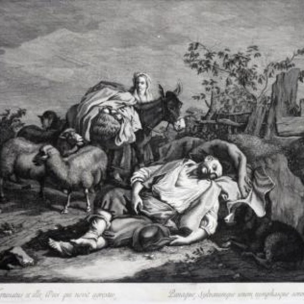 COLLE Pellegrino dall