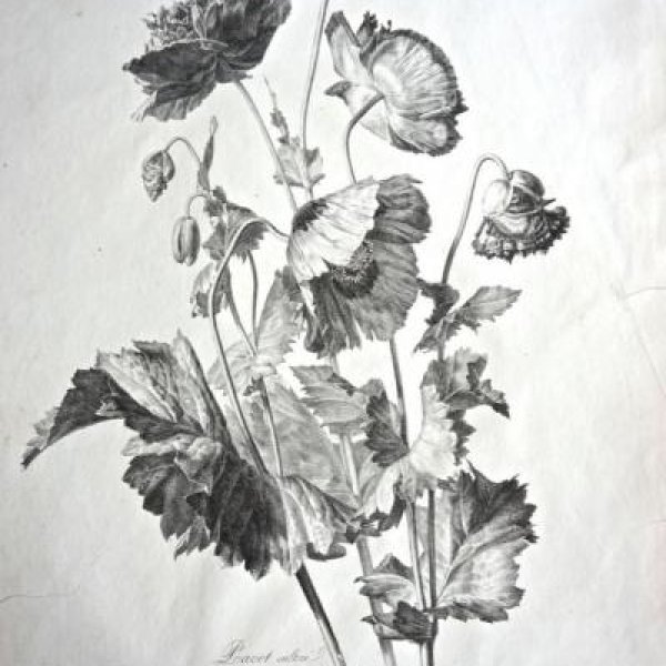 ENGELMANN Godefroy (imprimeur-lithographe)