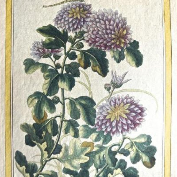 BUCHOZ Pierre-Joseph