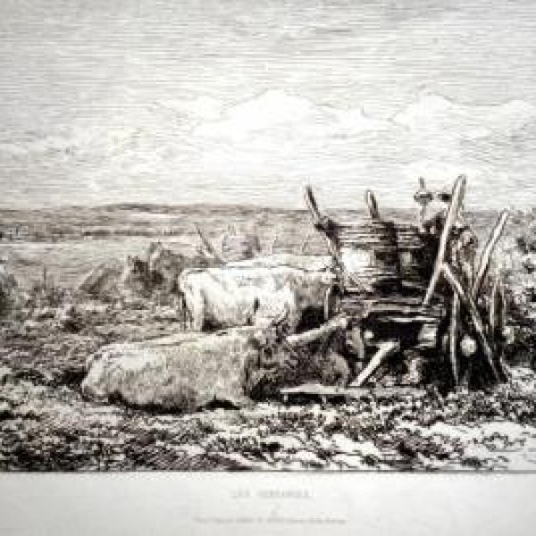 DAUBIGNY Charles François