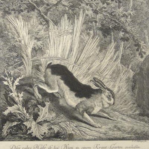 RIDINGER Martin Elias