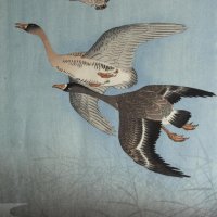 KOSON Ohara, dit aussi SHOSON ou HOSON