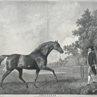 STUBBS George Townley