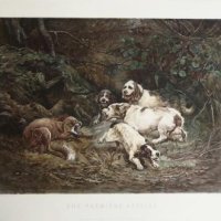 GELIBERT Jules (daprès)