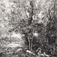 DAUBIGNY Charles François