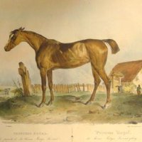 ENGELMANN Godefroy / VICTOR Adam